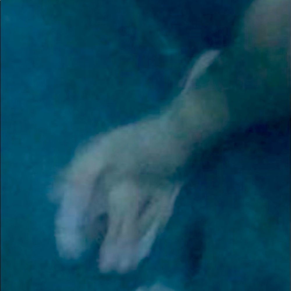 Foot
